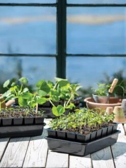 Growease Seed Starter Kit -Outdoor Garden Store 8589987 7871 tif