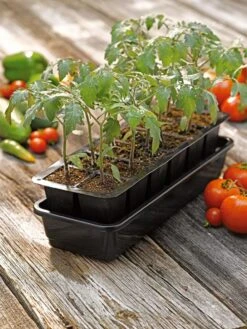 Growease Seed Starter Kit -Outdoor Garden Store 8589988 1056 tif