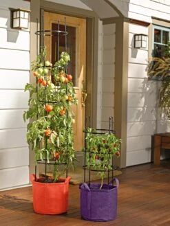 Gardener's Best® Tomato Grow Bag Set 9 Gardener's Best® Tomato Grow Bag Set -Outdoor Garden Store 8590013 170 tif