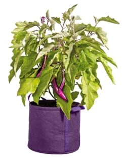 Gardener's Best® Universal Grow Bag -Outdoor Garden Store 8590024PR 214 tif