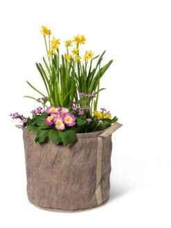 Gardener's Best® Universal Grow Bag -Outdoor Garden Store 8590024 7307 tif