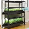 2-Tier SunLite® Garden -Outdoor Garden Store 8590049 2489 grow lights with two shelves large tif