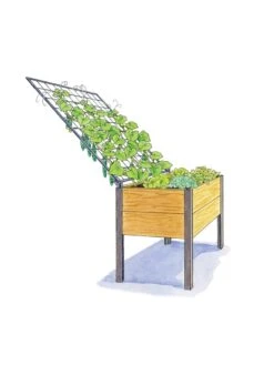 Elevated Planter Box And Space-Maker Pivoting Trellis Set, 2' X 4' -Outdoor Garden Store 8590247 SMTrellis 4ft tif
