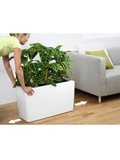 Lechuza® Cararo Rectangular Indoor Planter With Casters -Outdoor Garden Store 8590295 03v