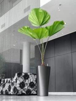 Lechuza® Delta Premium Self-Watering Planters 13 Lechuza® Delta Premium Self-Watering Planters -Outdoor Garden Store 8590299 02V tif