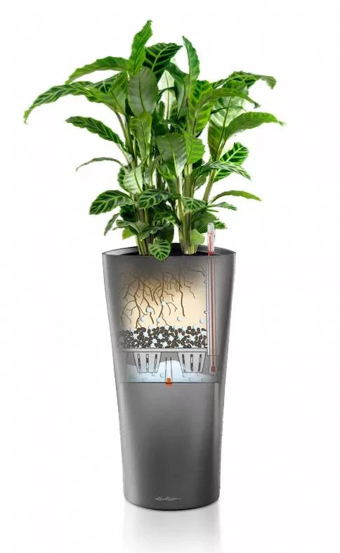 Lechuza® Delta Premium Self-Watering Planters 5 Lechuza® Delta Premium Self-Watering Planters - Image 3