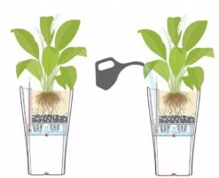 Lechuza® Delta Premium Self-Watering Planters 11 Lechuza® Delta Premium Self-Watering Planters -Outdoor Garden Store 8590299 07V tif