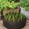 Garlic Grow Bag Kit 2 Garlic Grow Bag Kit -Outdoor Garden Store 8590676 0072 growing garlic grow bag kit