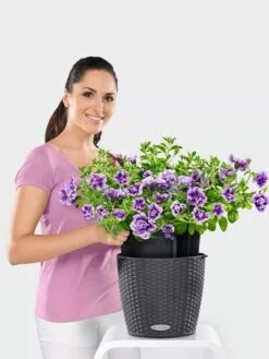 Lechuza® Nido Cottage Wicker Hanging Planter -Outdoor Garden Store 8591154GT 006V tif