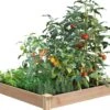 Cedar Raised Garden Bed, 4' X 4' X 6" -Outdoor Garden Store 8591724 01V tif