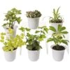 Low Light Terrarium Plant Collection, Set Of 6 -Outdoor Garden Store 8591770 3595 tif