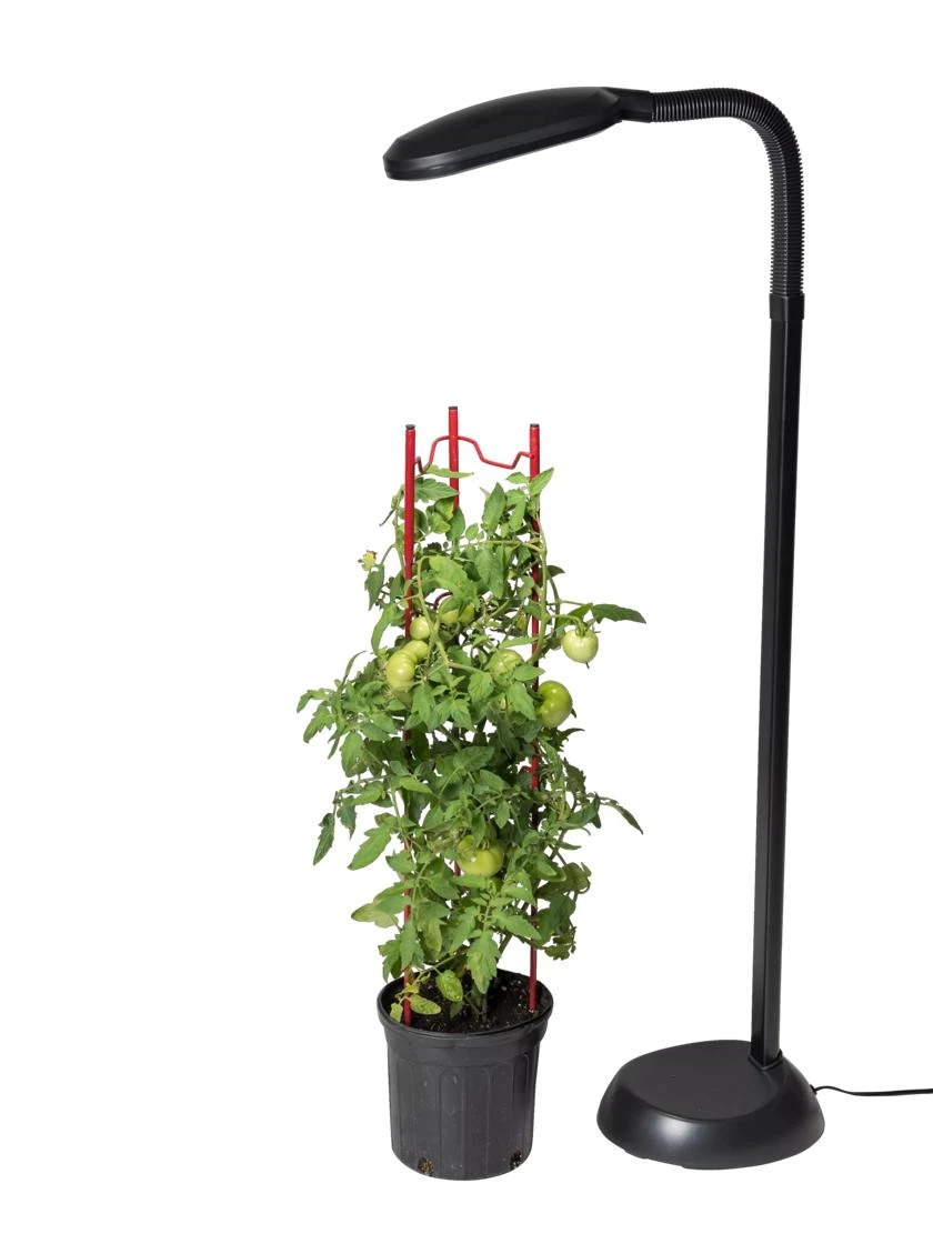 Agrobrite Floor Plant Lamp 4 Agrobrite Floor Plant Lamp - Image 2