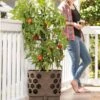 Gardener's Revolution® Tomato Planter 2 Gardener's Revolution® Tomato Planter -Outdoor Garden Store 8592159 406 001E tif