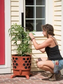 Gardener's Revolution® Tomato Planter -Outdoor Garden Store 8592161 9176 tif