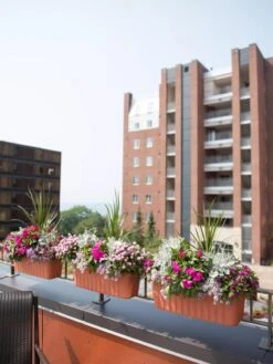 Adjustable Self-Watering Railing Planter, 24" 12 Adjustable Self-Watering Railing Planter, 24" -Outdoor Garden Store 8592173TC 2383 tif