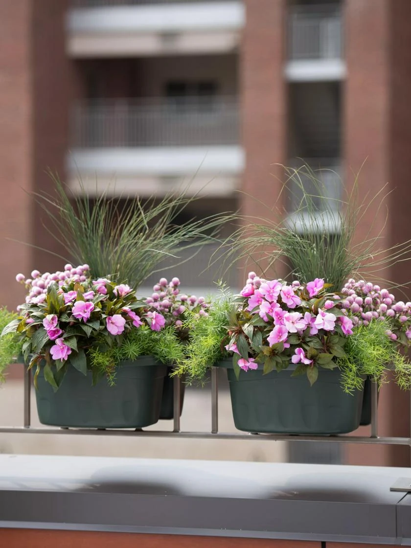 Self-Watering Saddle Railing Planter, 16" 5 Self-Watering Saddle Railing Planter, 16" - Image 3