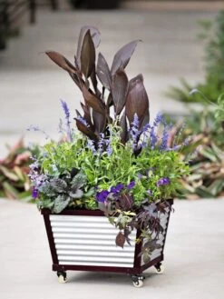 Galvanized Self-Watering Planters 8 Galvanized Self-Watering Planters -Outdoor Garden Store 8592176 5060 tif