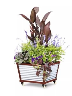 Galvanized Self-Watering Planters 9 Galvanized Self-Watering Planters -Outdoor Garden Store 8592176 5067 tif