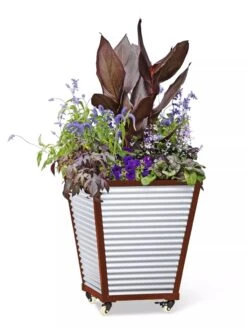 Galvanized Self-Watering Planters 10 Galvanized Self-Watering Planters -Outdoor Garden Store 8592177 5066 tif
