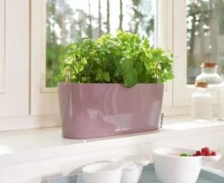 Lechuza® Delta Self-Watering Windowsill Planters -Outdoor Garden Store 8592361 01V tif