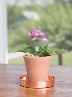 Extra Small Round Copper Plant Tray, 8" 14 Extra Small Round Copper Plant Tray, 8" -Outdoor Garden Store 8593528 4522 tif