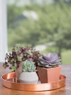 Large Round Copper Plant Tray, 14" -Outdoor Garden Store 8593531 4518 tif