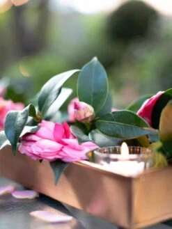 Rectangular Copper Plant Tray, 18"x4" -Outdoor Garden Store 8593532 02IN tif