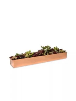 Rectangular Copper Plant Tray, 18"x4" -Outdoor Garden Store 8593532 2892 tif