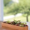 Rectangular Copper Plant Tray, 18"x4" 2 Rectangular Copper Plant Tray, 18"x4" -Outdoor Garden Store 8593532 4632 tif