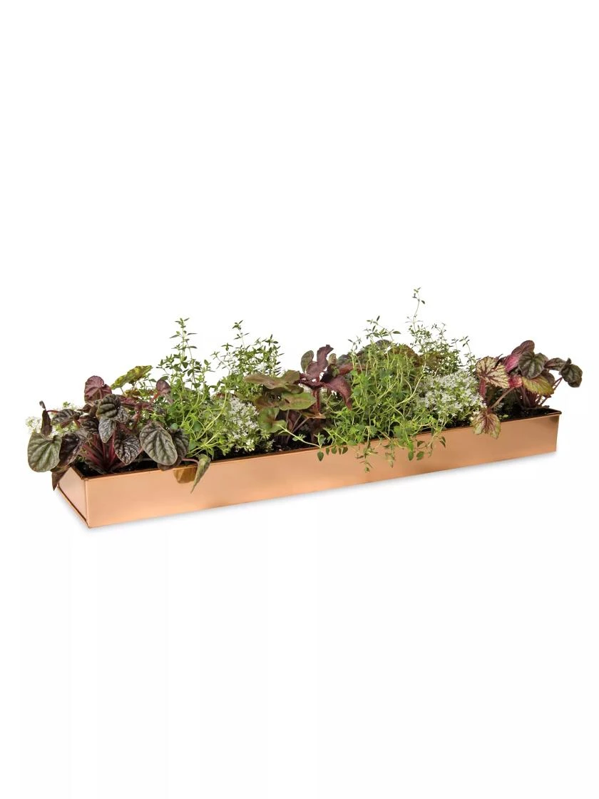 Rectangular Copper Plant Tray, 24" X 5" 7 Rectangular Copper Plant Tray, 24" X 5" - Image 5