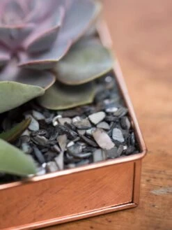 Rectangular Copper Plant Tray, 24" X 5" 10 Rectangular Copper Plant Tray, 24" X 5" -Outdoor Garden Store 8593533 4570 tif