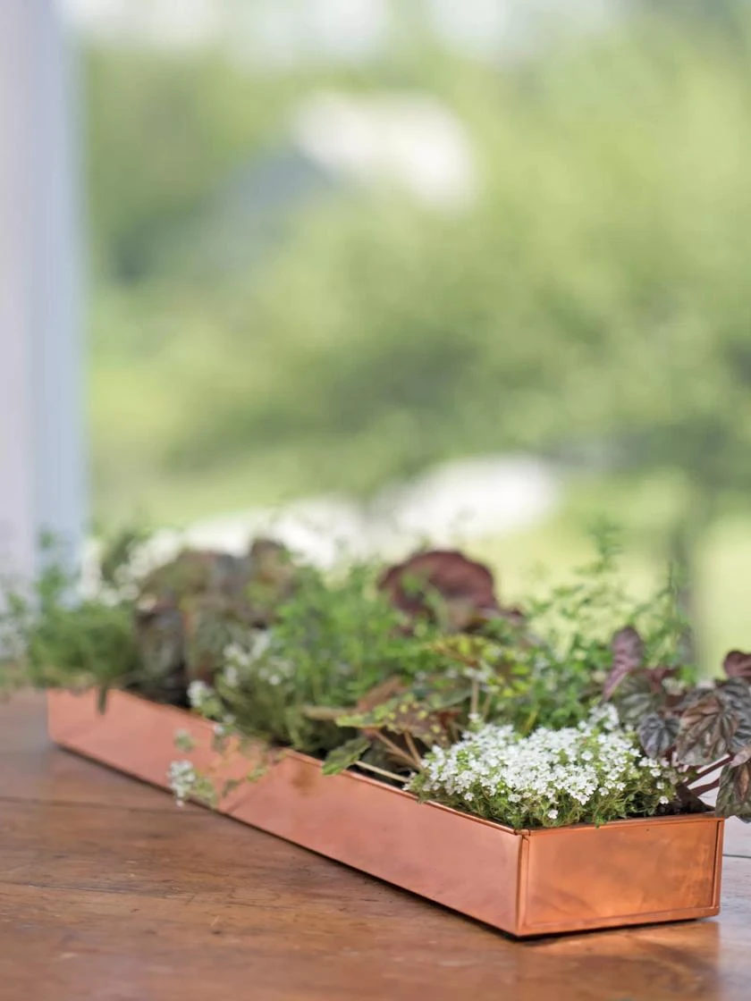 Rectangular Copper Plant Tray, 24" X 5" 5 Rectangular Copper Plant Tray, 24" X 5" - Image 3