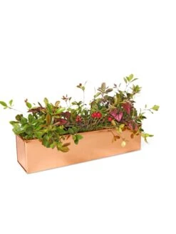 Tall Rectangular Copper Plant Tray, 18" X 5" X 4" -Outdoor Garden Store 8593534 2899 tif