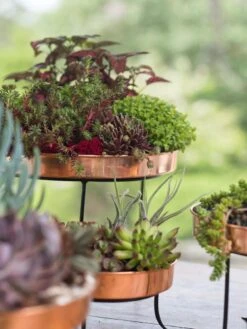 Small Round Copper Plant Tray, 10" -Outdoor Garden Store 8593564 4399 tif