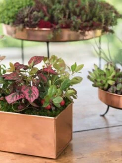 Tall Rectangular Copper Plant Tray, 18" X 5" X 4" -Outdoor Garden Store 8593564 4430 tif