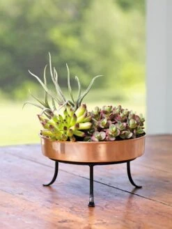 Extra Small Round Copper Plant Tray, 8" 15 Extra Small Round Copper Plant Tray, 8" -Outdoor Garden Store 8593564 4641 001E tif