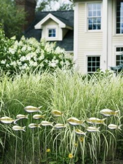 Fish Out Of Water Garden Stakes, Set Of 5 -Outdoor Garden Store 8593672 9124 tif