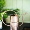 Copper Indoor Watering Can -Outdoor Garden Store 8593724 5369 tif