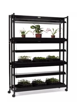 High Intensity 3-Tier SunLite® Garden -Outdoor Garden Store 8593944 1608 tif
