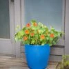 Viva Round Self-Watering Rolling Planter, 17.25” Diameter -Outdoor Garden Store 8594077 0087 tif