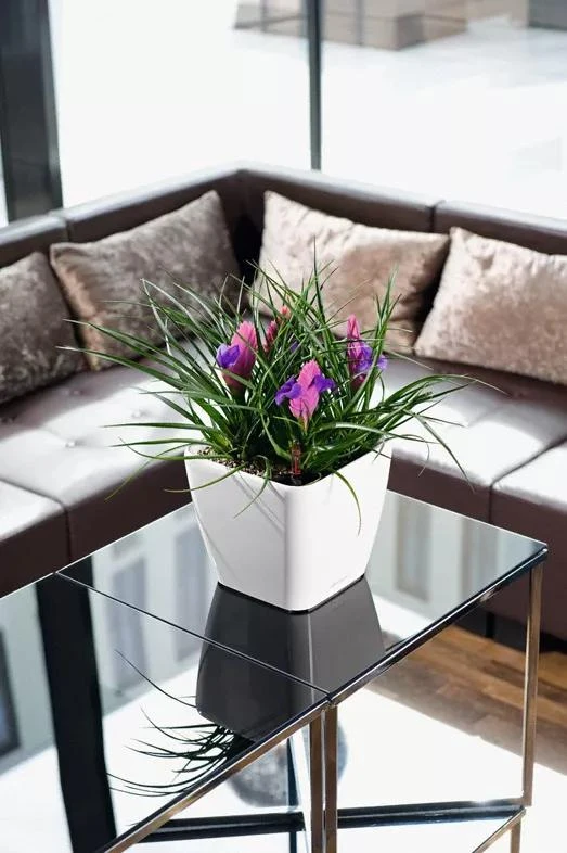 Lechuza® Quadro LS Premium Self-Watering Square Planters 3 Lechuza® Quadro LS Premium Self-Watering Square Planters