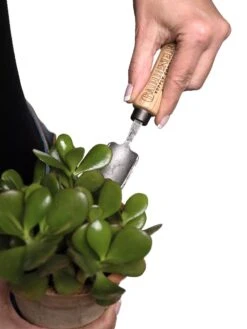 Gardener's Lifetime Mini Trowel -Outdoor Garden Store 8594146 0111 tif