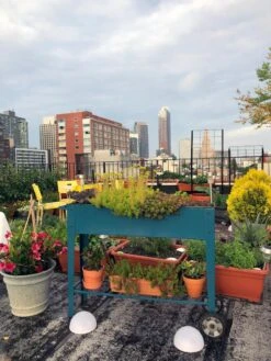 Demeter Mobile Planter Cart -Outdoor Garden Store 8594148 01CUST tif