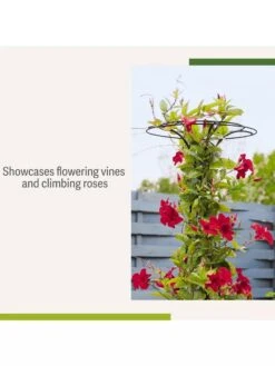 Essex Tuteur, 63" 12 Essex Tuteur, 63" -Outdoor Garden Store 8594162 4