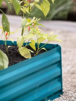 Demeter Corrugated Metal Raised Bed, 34" X 68" -Outdoor Garden Store 8594183 470 tif 1