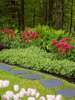 Recycled Rubber Flagstone Stepping Stone 18 Recycled Rubber Flagstone Stepping Stone -Outdoor Garden Store 8594282 518 tif