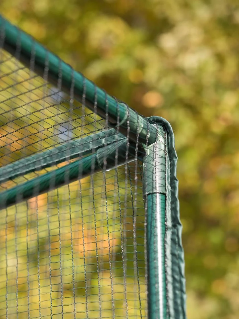 Pest-Free Garden 4 Pest-Free Garden - Image 2