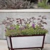 Short Galvanized Self-Watering Trough Planter -Outdoor Garden Store 8594329 5064 tif