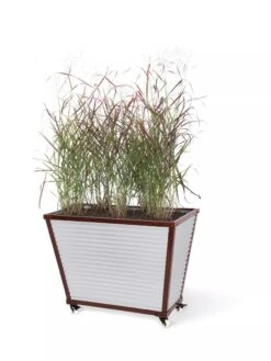 Tall Galvanized Self-Watering Trough Planter 5 Tall Galvanized Self-Watering Trough Planter -Outdoor Garden Store 8594330 8541 tif