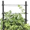 Gardener's Revolution® Classic Tomato Extension 1 Gardener's Revolution® Classic Tomato Extension -Outdoor Garden Store 8594367 0047 001E gardeners revolution classic tomato cage extension tif